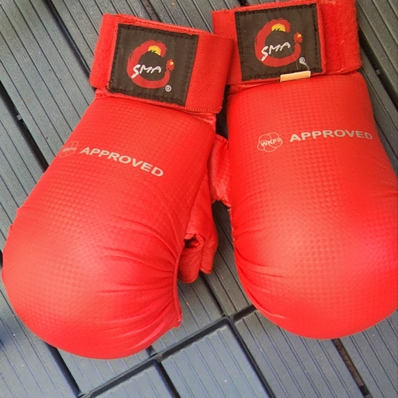 Karate Gloves - Picture 3 of 3